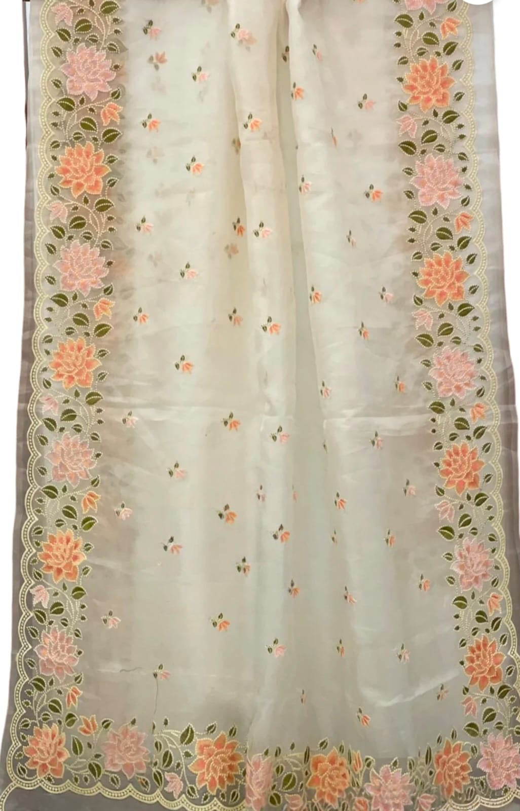 Banarasi Organza Embroidery Work Saree