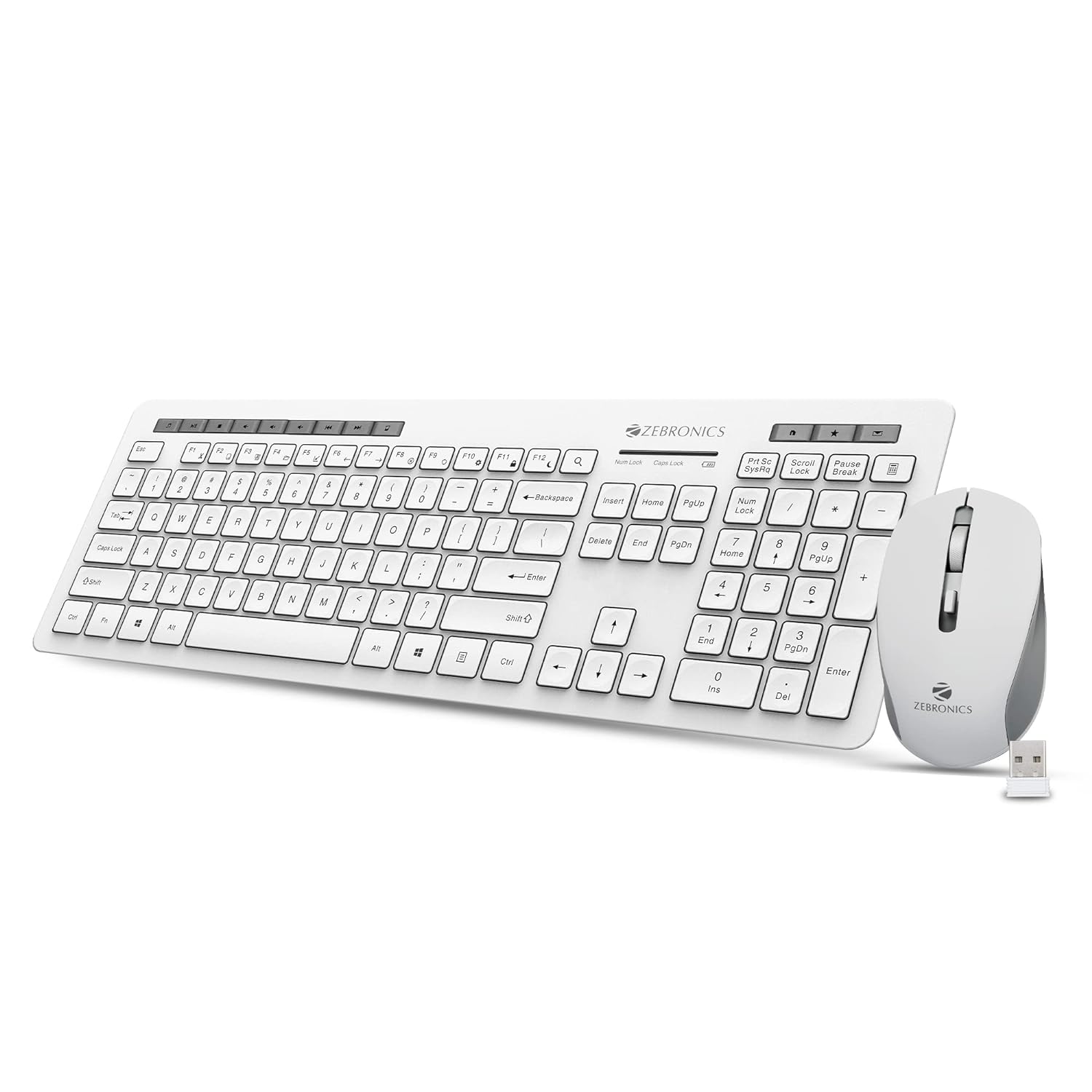 Zebronics Zeb-Companion 500 and Mouse Combo Wireless Desktop Keyboard?(White, Grey)