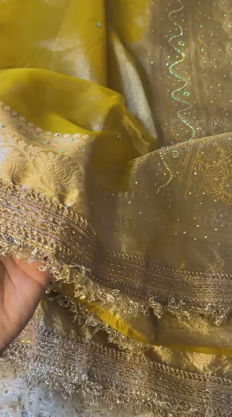 Banarasi Tissue Silk Saree with Stonework and Gotapatti Border