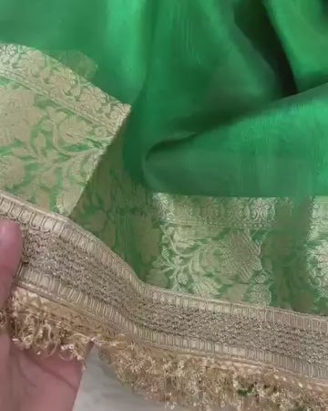 Banarasi Tissue Silk Saree with Broad Lace border
